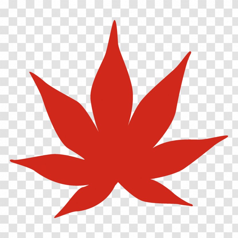 Maple Leaf Autumn Fall - Tree - Logo Transparent PNG