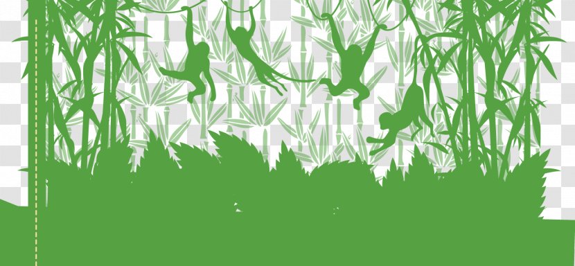 Monkey - Green - Vector Monkeys On Hand-painted Vines Transparent PNG