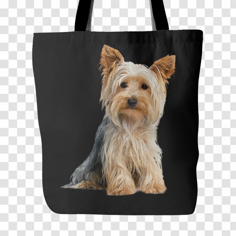 Yorkshire Terrier Australian Silky Cairn Dog Breed Companion - Toy - Puppy Transparent PNG
