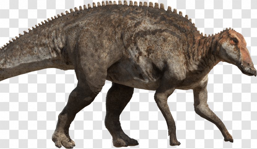 Tyrannosaurus Late Cretaceous Hadrosaurus Dinosaur Argentinosaurus Transparent PNG