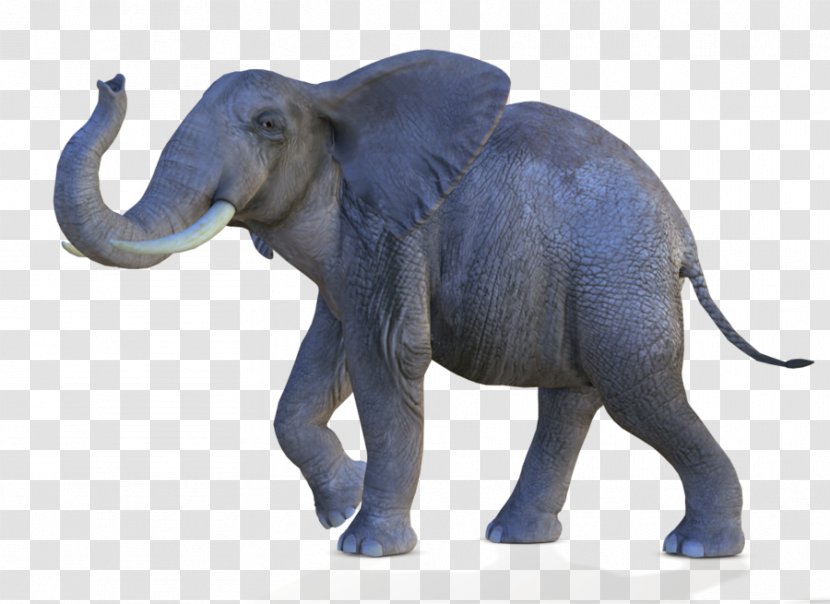 African Bush Elephant Asian Forest - Transparent Transparent PNG