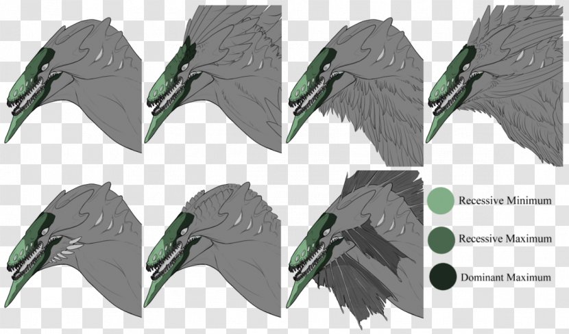 Beak Fauna Feather Transparent PNG