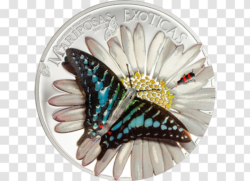 Monarch Butterfly Equatorial Guinea Silver Coin Transparent PNG