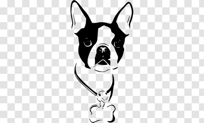 Boston Terrier Staffordshire Bull American Yorkshire Toy Fox - Leash - Wire Hair Transparent PNG