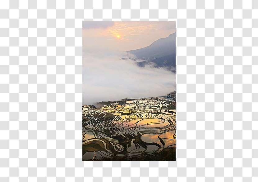 Painting Rice Sky Plc Tillage - European Tourist City Landscape Elements Transparent PNG