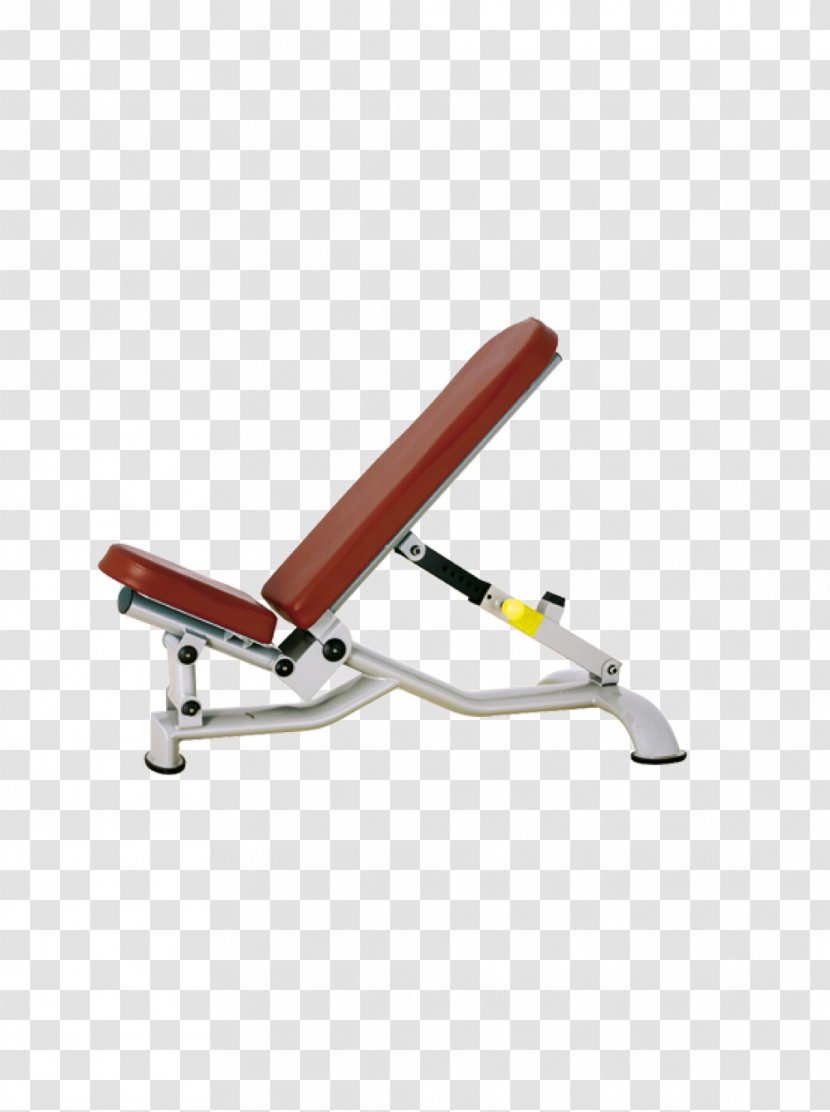 Bench Press Fitness Centre Exercise Equipment Physical Transparent PNG