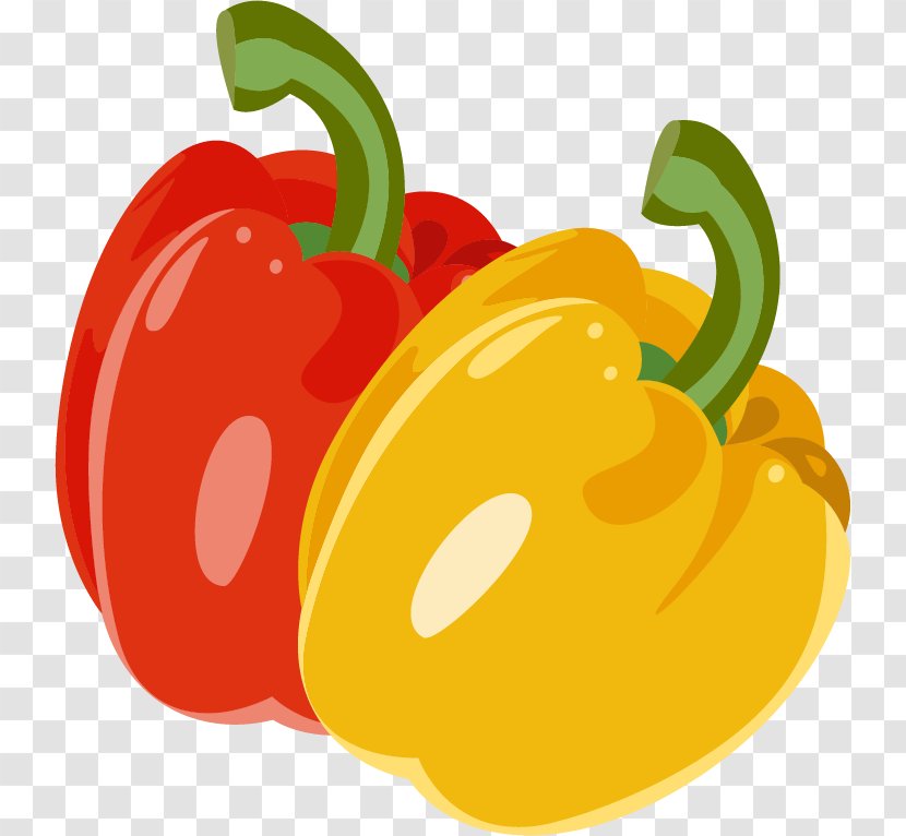 Bell Pepper Adobe Illustrator - Pimiento - Vector Material Transparent PNG