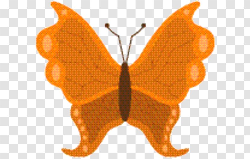 Leaf Cartoon - Emperor Moths - Bombycidae Transparent PNG
