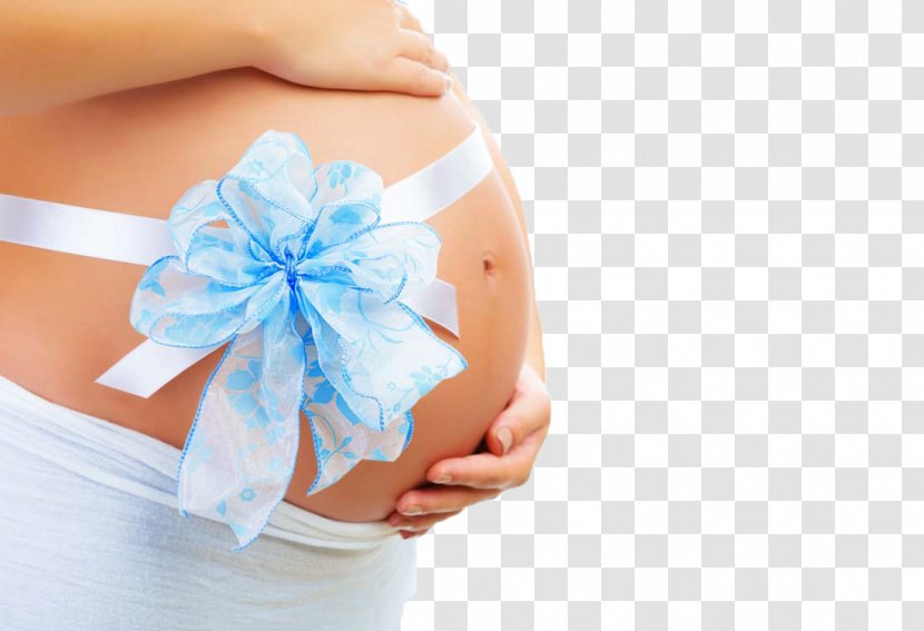 Pregnancy Stock Photography Mother - Flower - Pregnant Woman Transparent PNG