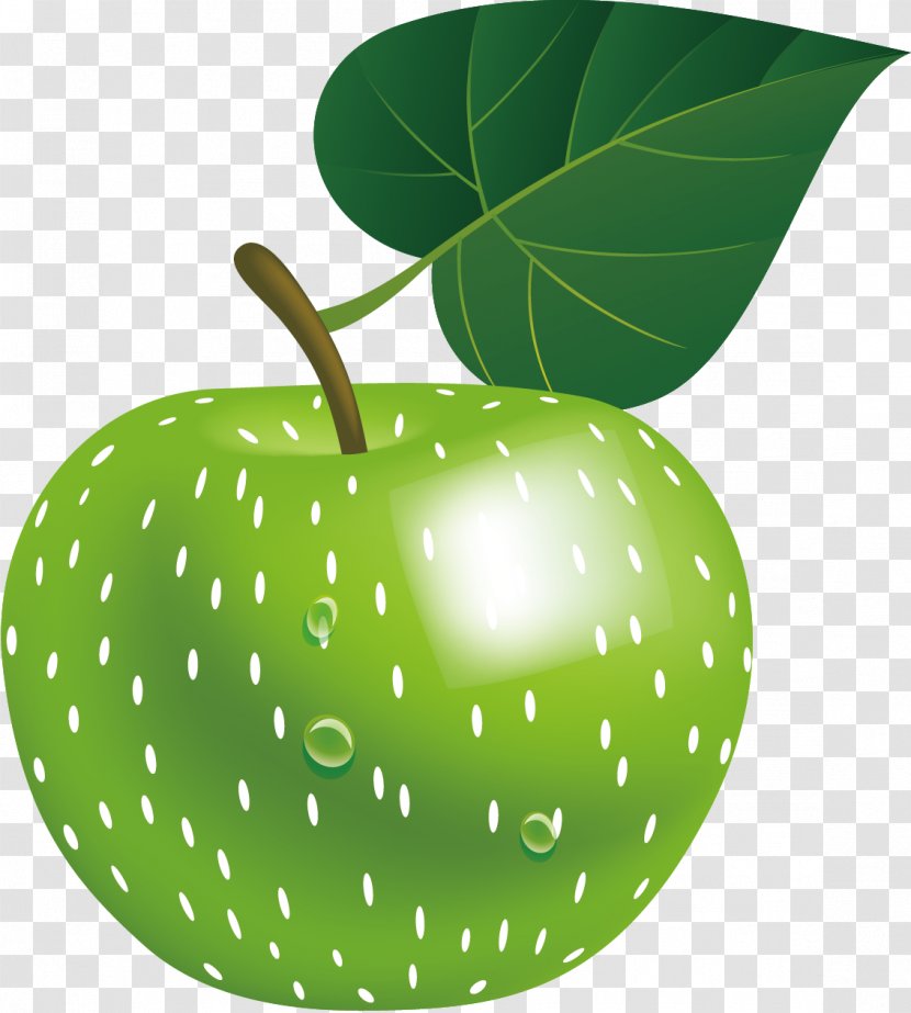 Apple Green Infographic Euclidean Vector - Presentation - Material Transparent PNG