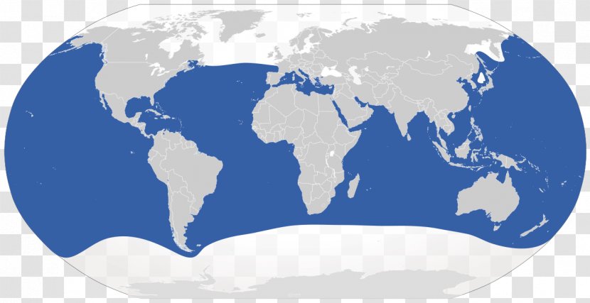 Great White Shark Blue A Field Guide To The Sharks Of World Tiger Velvet Belly Lanternshark - Area Transparent PNG