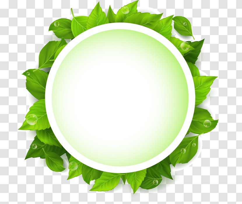 Leaf Green Text Euclidean Vector - Leaves Input Box Transparent PNG