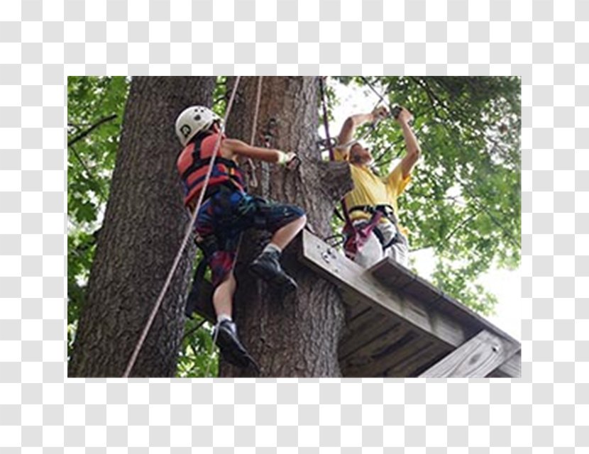 The Marcus Lewis Tennis Center Day Camp Summer Program In Westford, MA Abseiling - Campervans - Jungle Transparent PNG