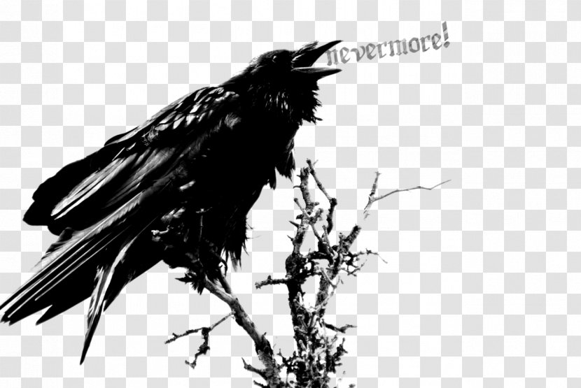 The Raven Edgar Allan Poe: Once Upon A Midnight Clip Art - Poe Transparent PNG