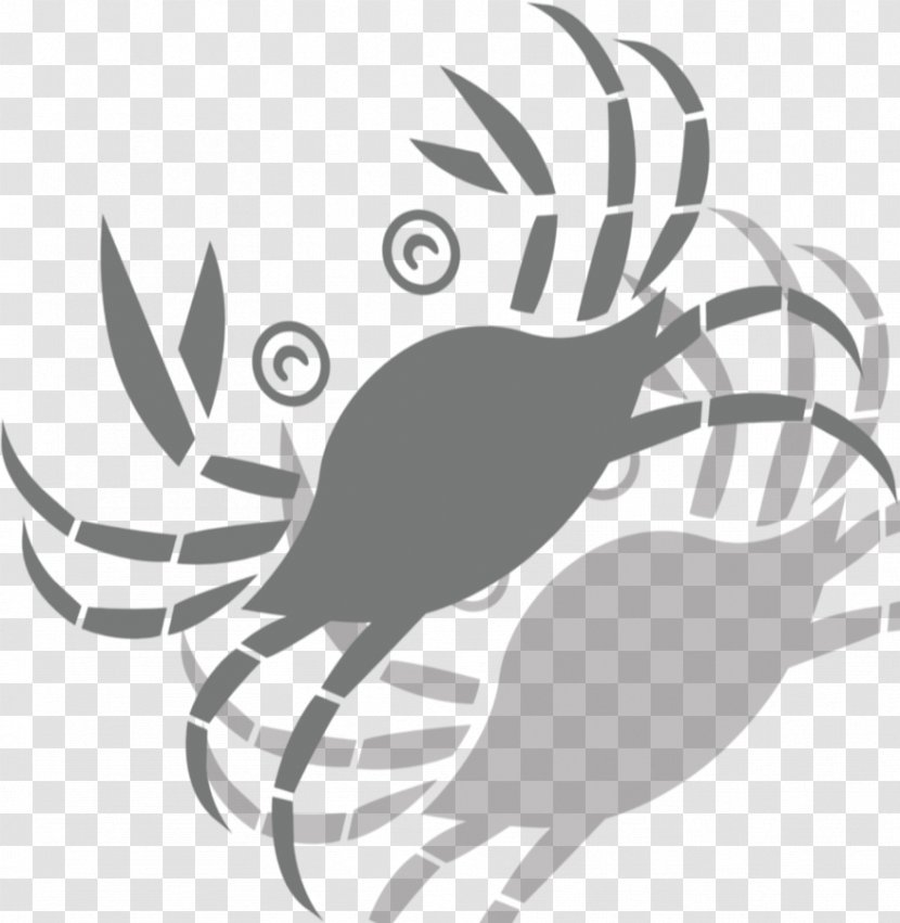 Crab Illustration - Bird - Stick Figure Transparent PNG