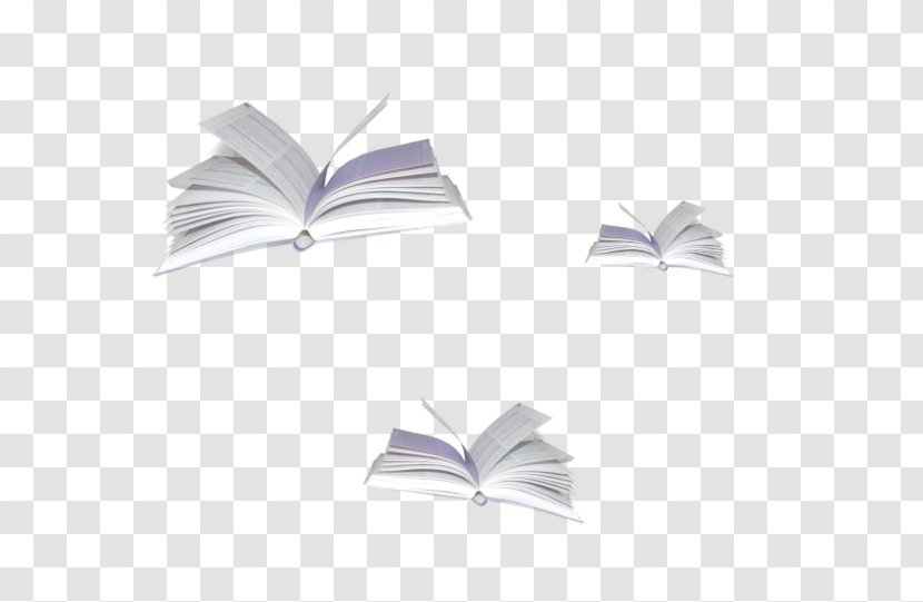 Download Icon - Preview - Fly Books Transparent PNG