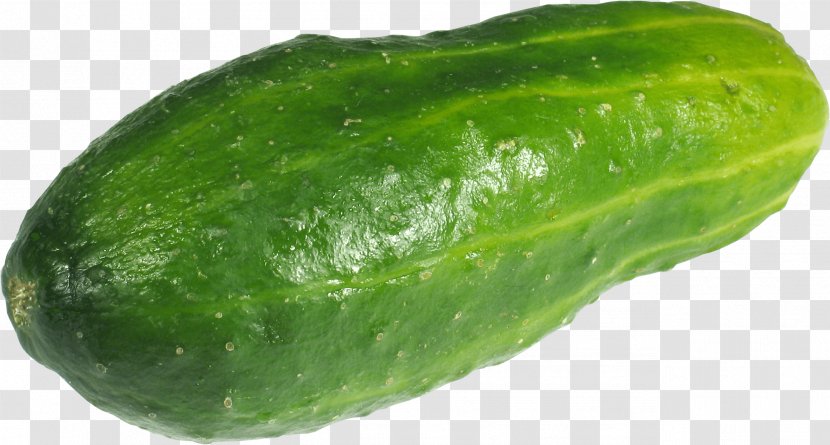 Pickled Cucumber Vegetable Food - Image Picture Download Transparent PNG