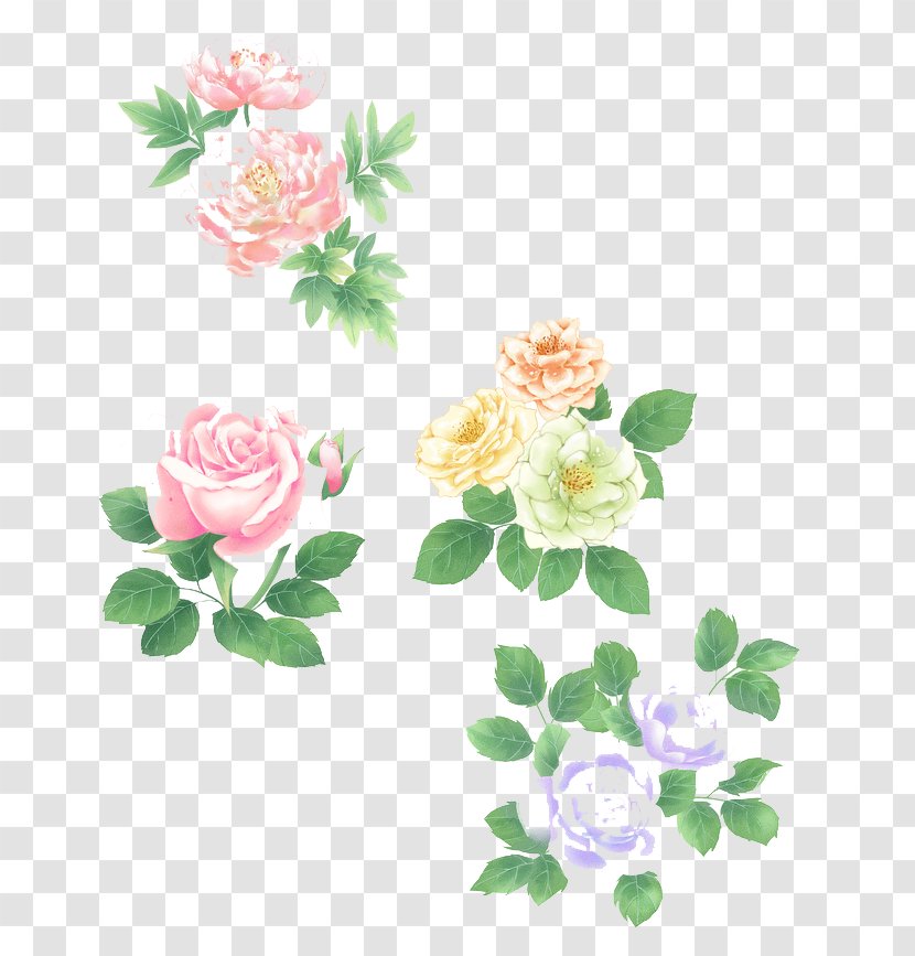 Watercolor Flowers - Pink - Flora Transparent PNG