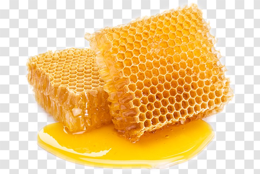 Honeycomb Bee Comb Honey Sugar - Pure Natural Transparent PNG