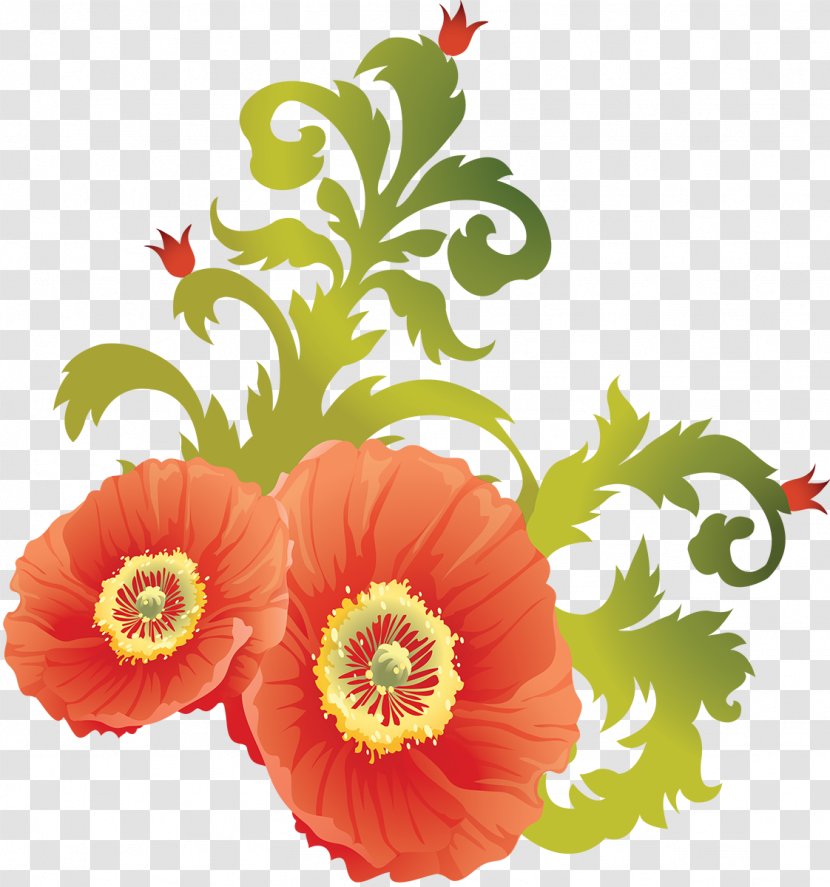 Opium Poppy Flower Clip Art - Peach Transparent PNG