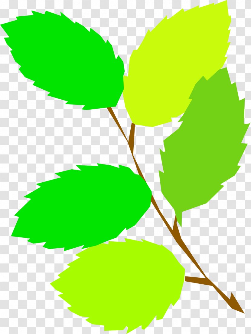 Leaf Green Clip Art - Artwork - Leaves Transparent PNG