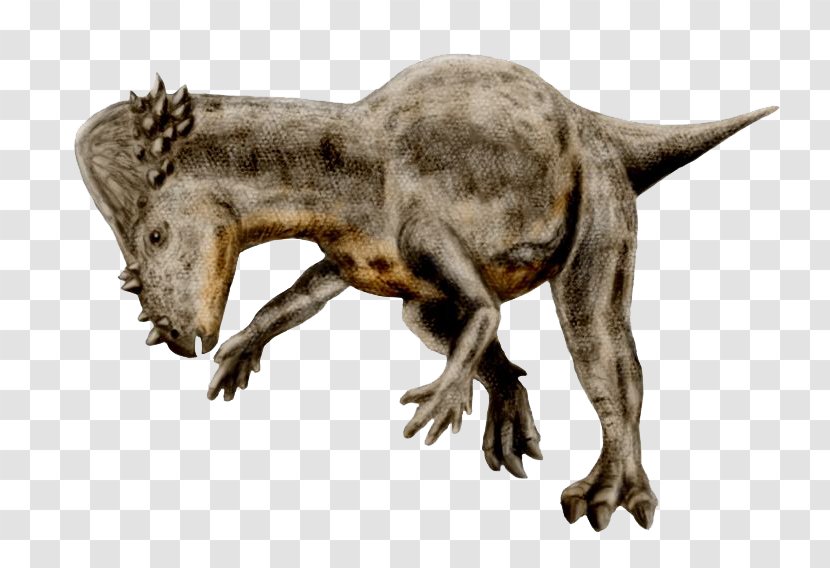 Pachycephalosaurus Cretaceous–Paleogene Extinction Event Stegosaurus Tyrannosaurus Dinosaur Transparent PNG