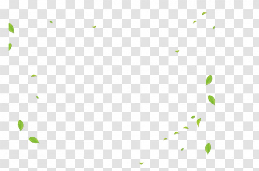 Angle Area Pattern - White - Leaves Transparent PNG