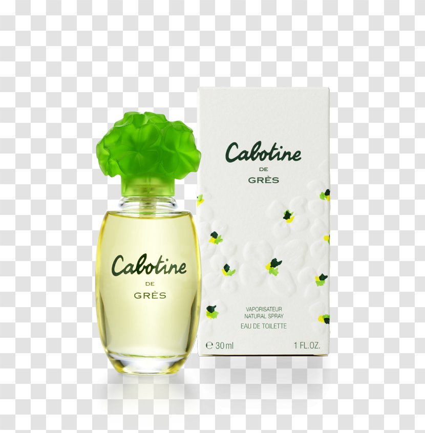 Eau De Toilette Perfume Parfum Amazon.com Parfumerie - Woman Transparent PNG