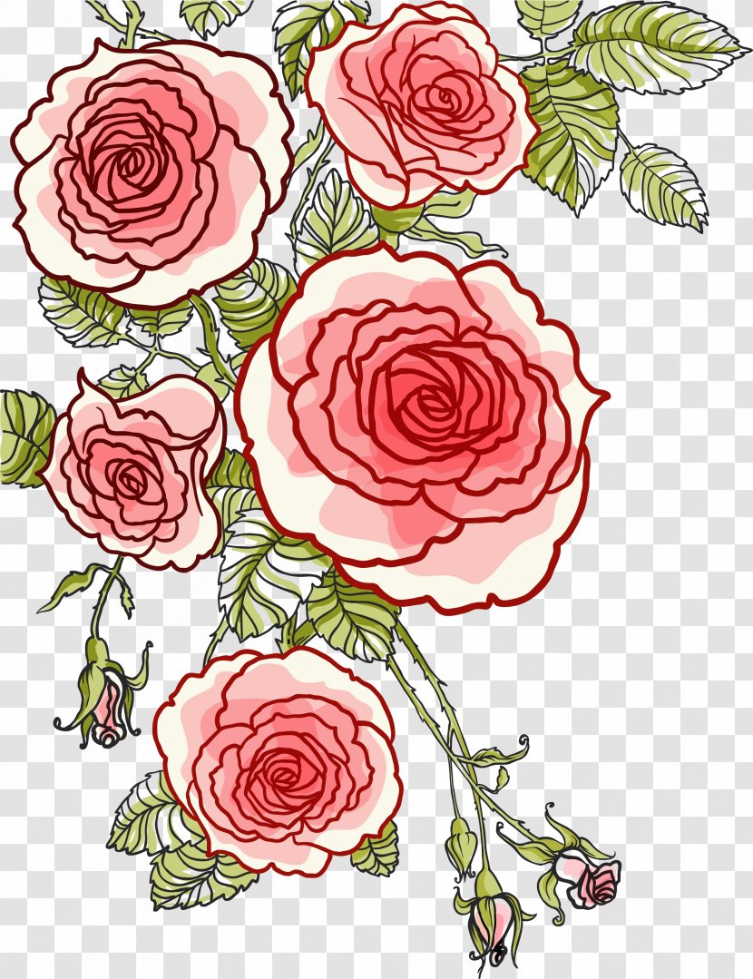Rose Drawing - Plant Stem - Hand Painted Roses Vector Transparent PNG