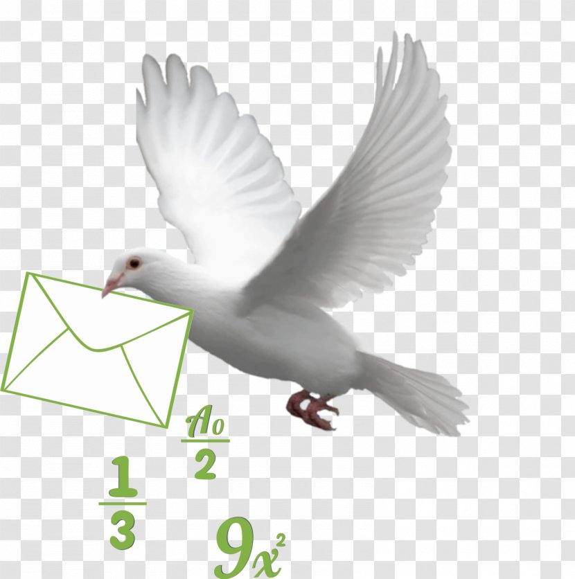 Aakhan Jor Mathematics School Teacher Guru Ganesha Singh - Fauna - Correspondence Transparent PNG