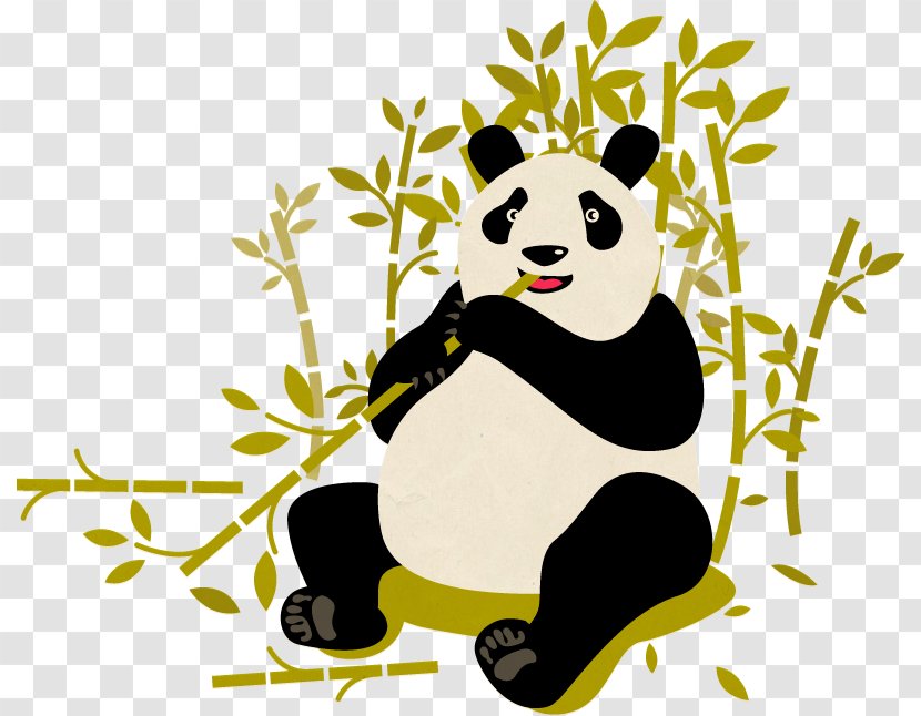 Bear Ailuropoda Melanoleuca Daxiangling Qin Mountains Min - Animal - Giant Panda Transparent PNG