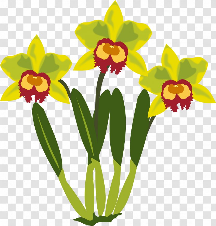 Cattleya Orchids Clip Art - Amaryllis Family Transparent PNG