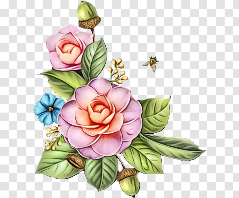 Garden Roses Transparent PNG