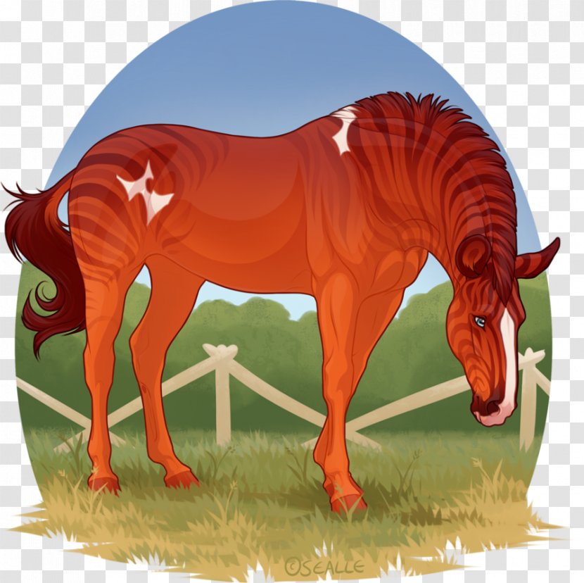 Mane Mustang Pony Stallion Mare - Mammal Transparent PNG