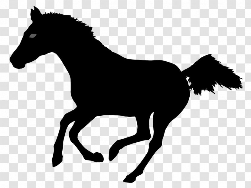 Horse Silhouette Photography Illustration - Running Transparent PNG