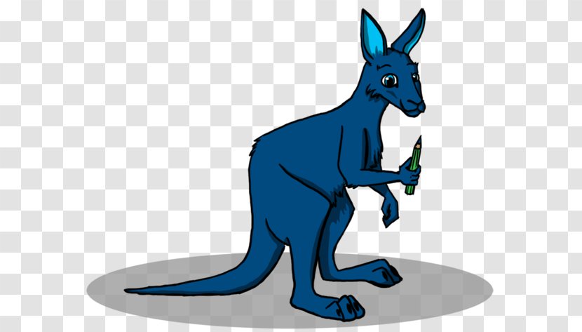 Kangaroo Koala Drawing Clip Art - Animation Transparent PNG