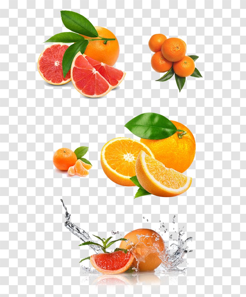 Juicer Lemon Squeezer Orange - Strawberry - Red Grapefruit Transparent PNG