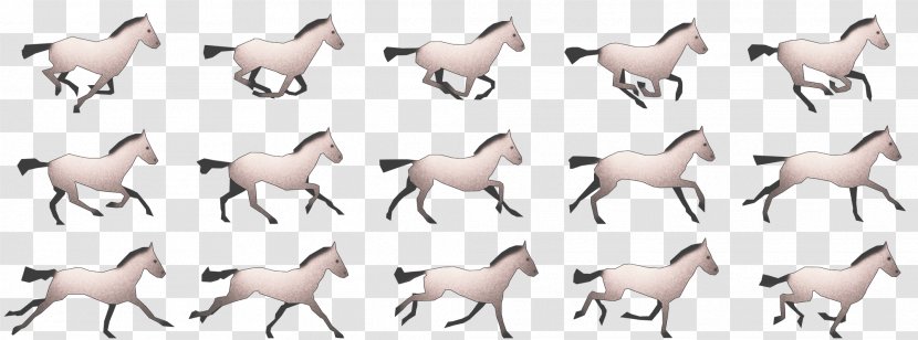 Antelope Walk Cycle Goat Animal Cattle - Terrestrial - Sprite Transparent PNG