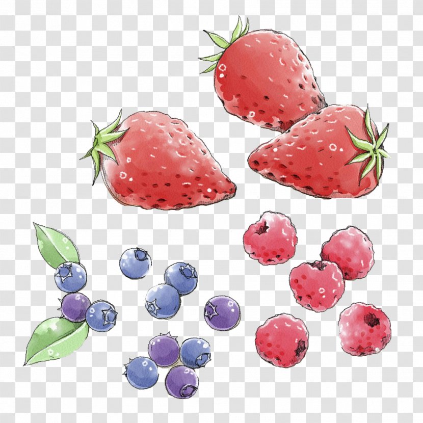 Strawberry Blueberry Aedmaasikas - Auglis - Hand Painted Blueberries Transparent PNG