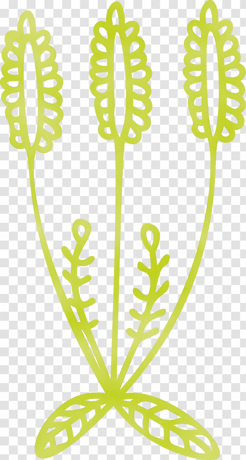 Leaf Plant Stem Flower Line M-tree Transparent PNG