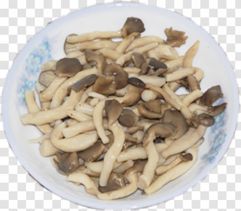 Oyster Mushroom Pleurotus Eryngii Vegetarian Cuisine Shimeji - Ji Boiled Mushrooms Transparent PNG