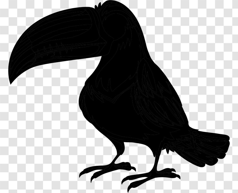 Bird Parrot Toco Toucan Piciformes - Beak Transparent PNG