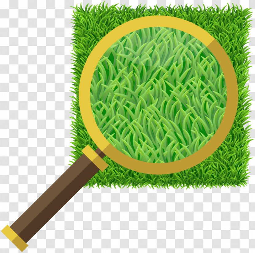 Jack's Turf Artificial Lawn Synthetic Fiber Magnifying Glass - Grass Transparent PNG