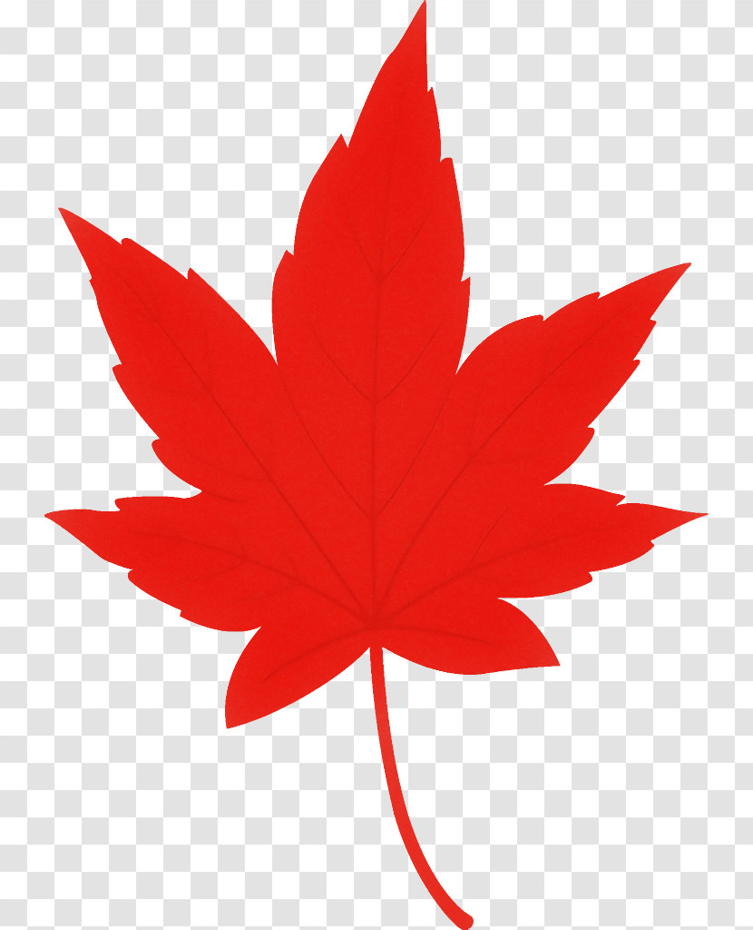 Maple Leaf Autumn Leaf Yellow Leaf Transparent PNG