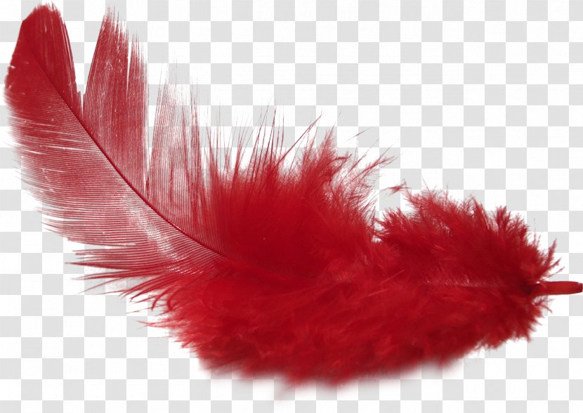 Feather Clip Art - Dots Per Inch - Long Hair Fluttering Transparent PNG