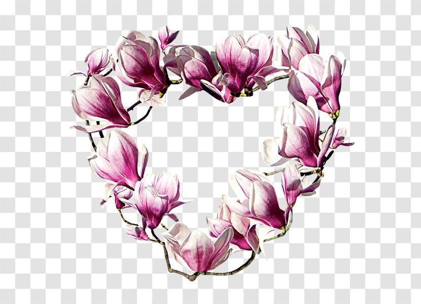 Magnolia Badge Garden Club Flower Zazzle Transparent PNG