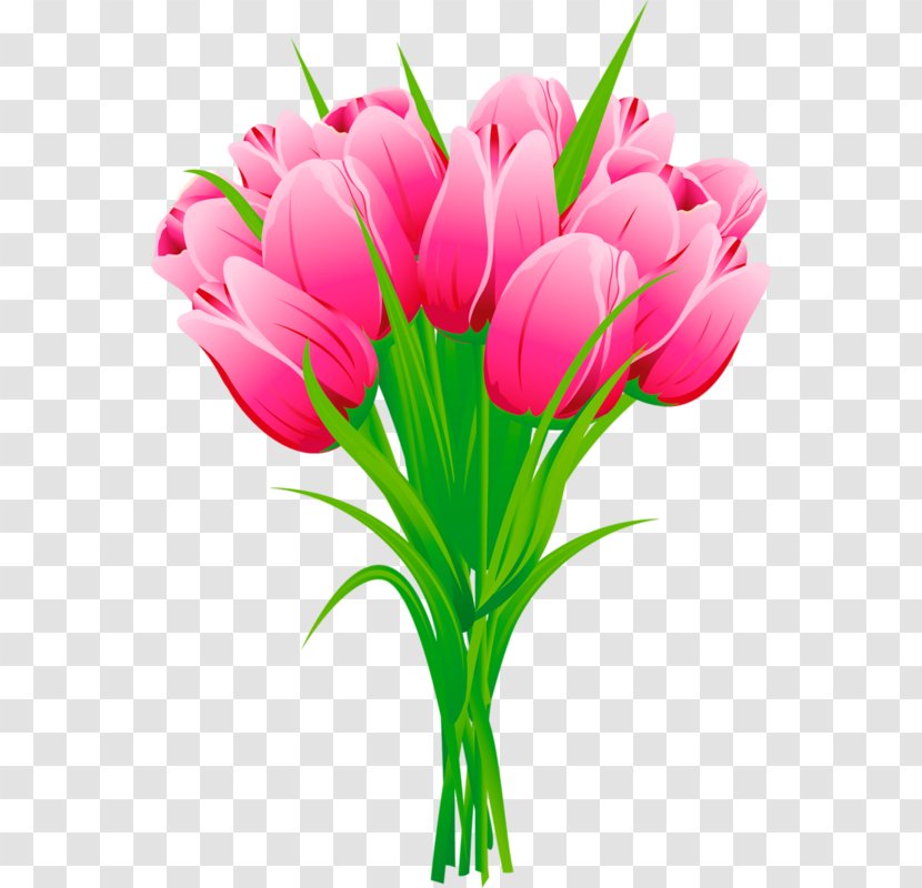 Lily Flower Cartoon - Bouquet - Pedicel Crocus Transparent PNG
