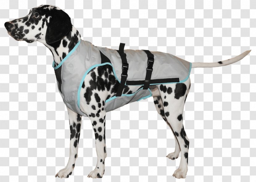 Dog Gilets T-shirt Cooling Vest Amazon.com - Pet Transparent PNG