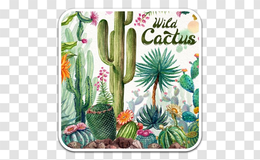 Watercolor Painting Clip Art Adobe Photoshop Image - Seed Plant - Cactus Transparent PNG