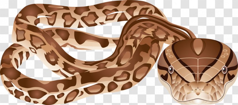 Boa Constrictor Snake Vipers Reptile Clip Art Transparent PNG